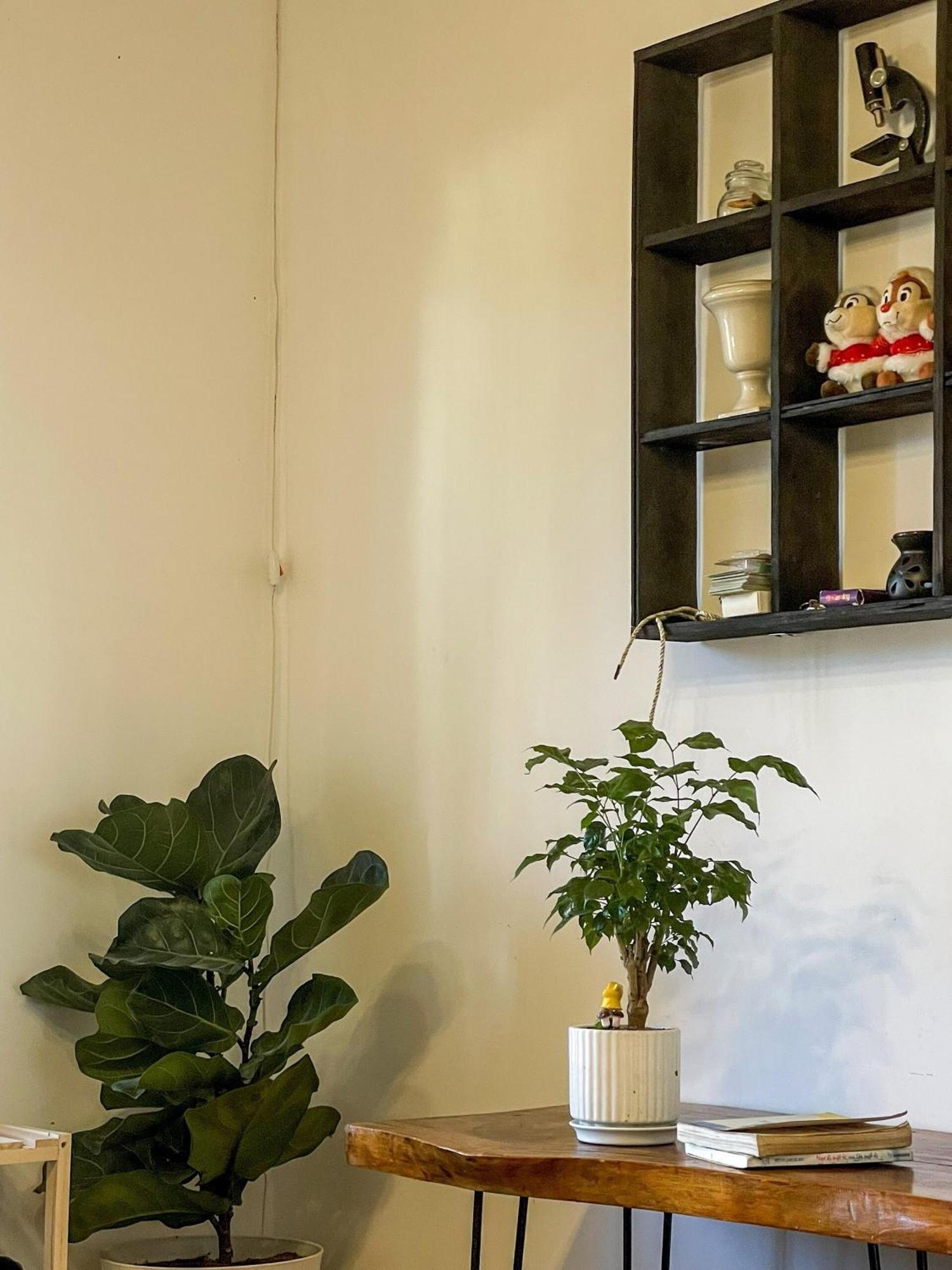 Hat De Homestay Да Лат Екстериор снимка