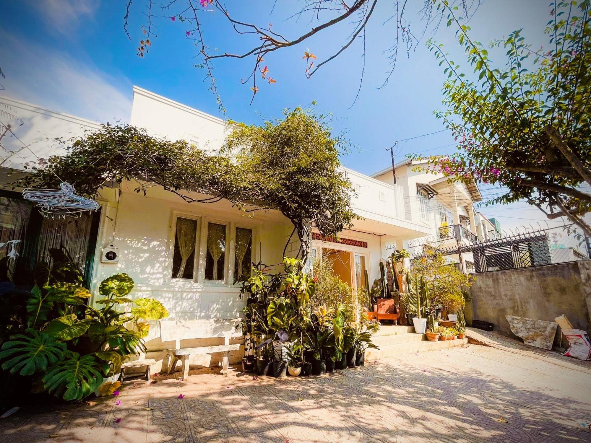 Hat De Homestay Да Лат Екстериор снимка