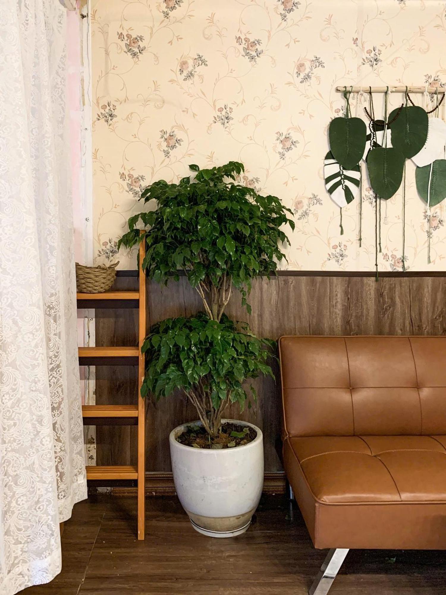 Hat De Homestay Да Лат Екстериор снимка